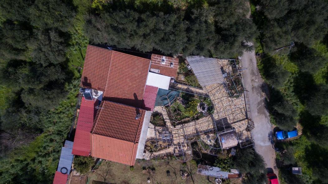 Dimitris'S Country House Agia  Eksteriør billede
