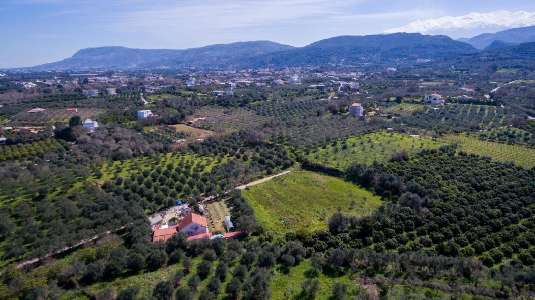Dimitris'S Country House Agia  Eksteriør billede