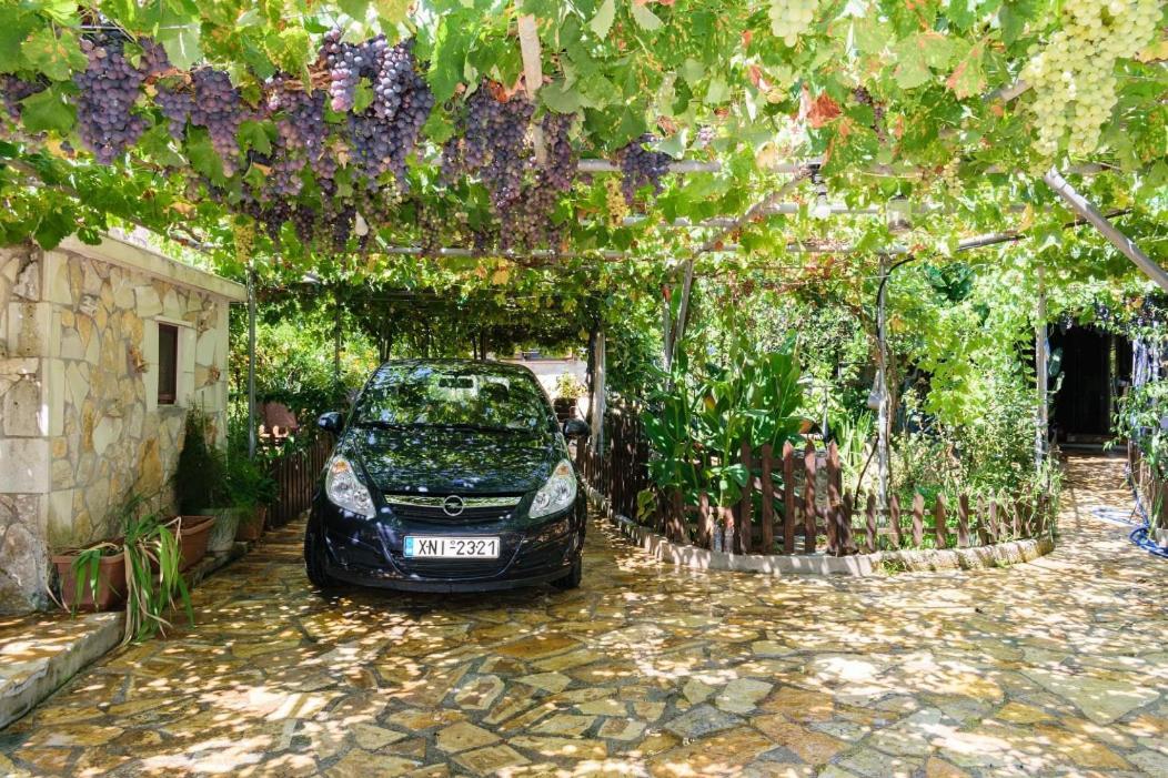 Dimitris'S Country House Agia  Eksteriør billede